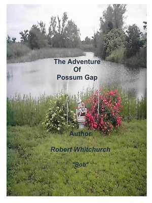 cover image of The Adventure of Possum Gap
